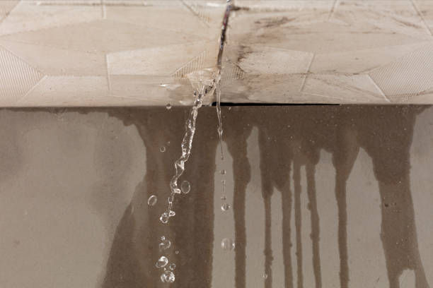 Professional Water Damage Restoration technician working in Burke, SD